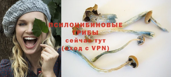 соль курить ск Алексеевка