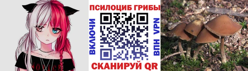 Галлюциногенные грибы ЛСД  Покачи 